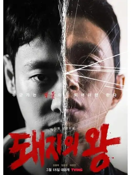 南瓜影院 狂飙 高清电视剧在线观看